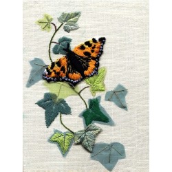 Tortoiseshell Butterfly