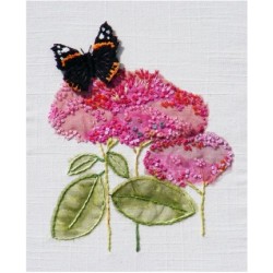 Red Admiral Butterfly