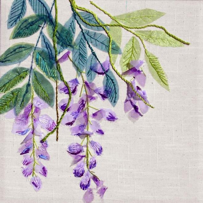 Wisteria