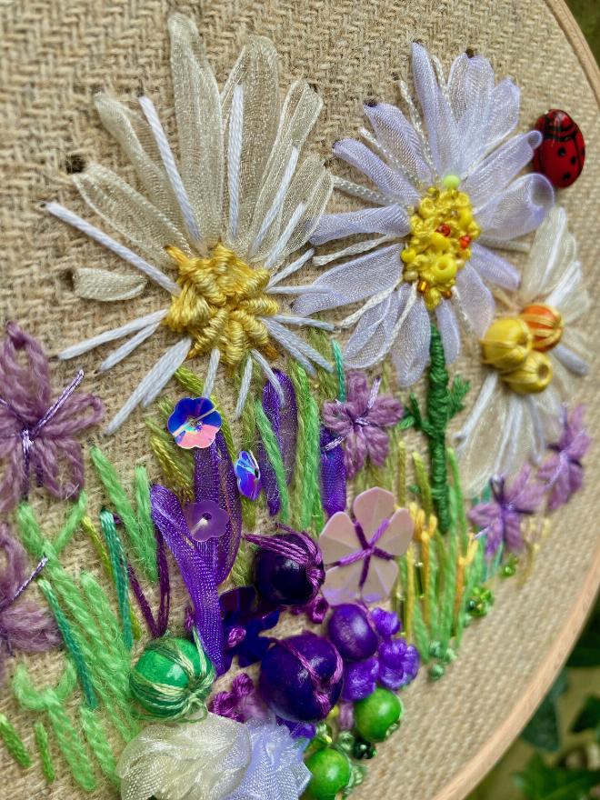 Daisies and a Ladybird