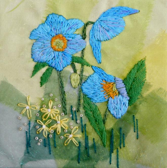 Himalayan Poppies