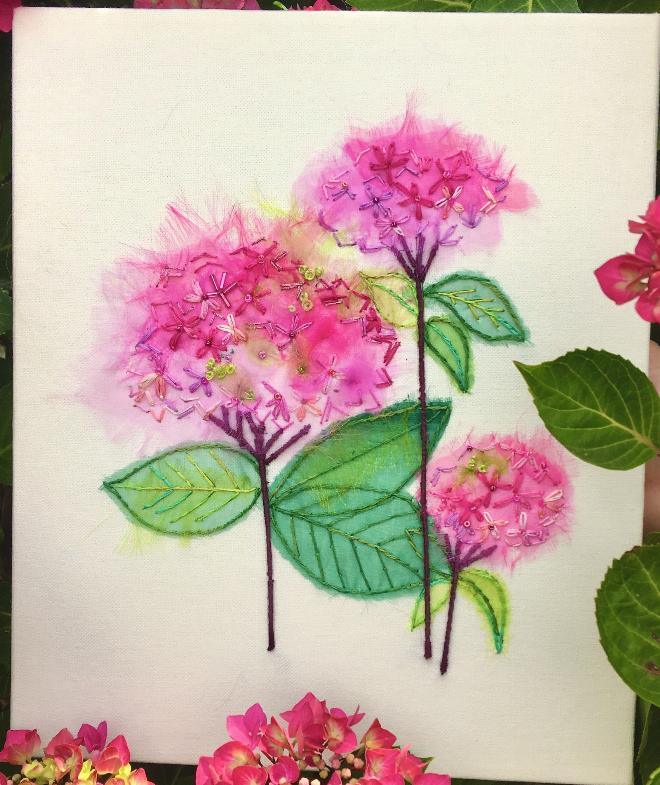 Hydrangea