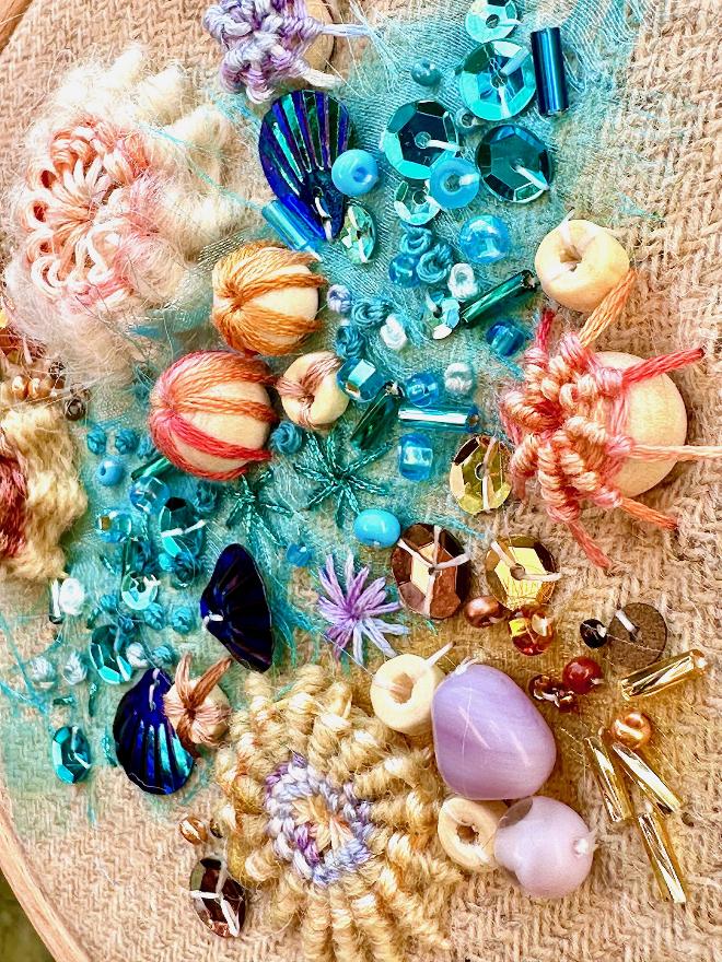 Limpets and Barnacles